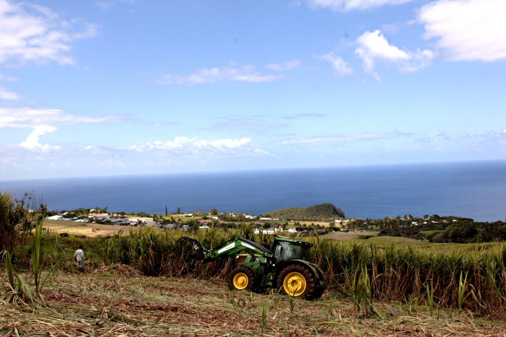 Terres péi, photographie de Jérôme Soubou