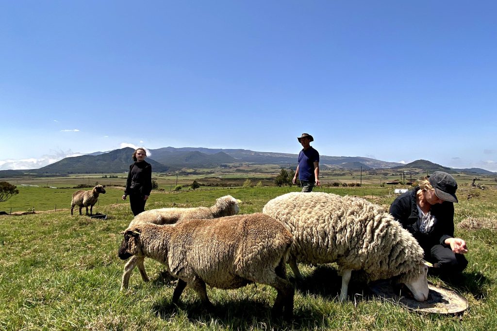 Terres péi, photographie de Jérôme Soubou