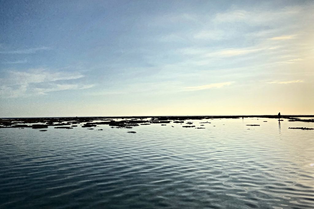 Ici et ailleurs