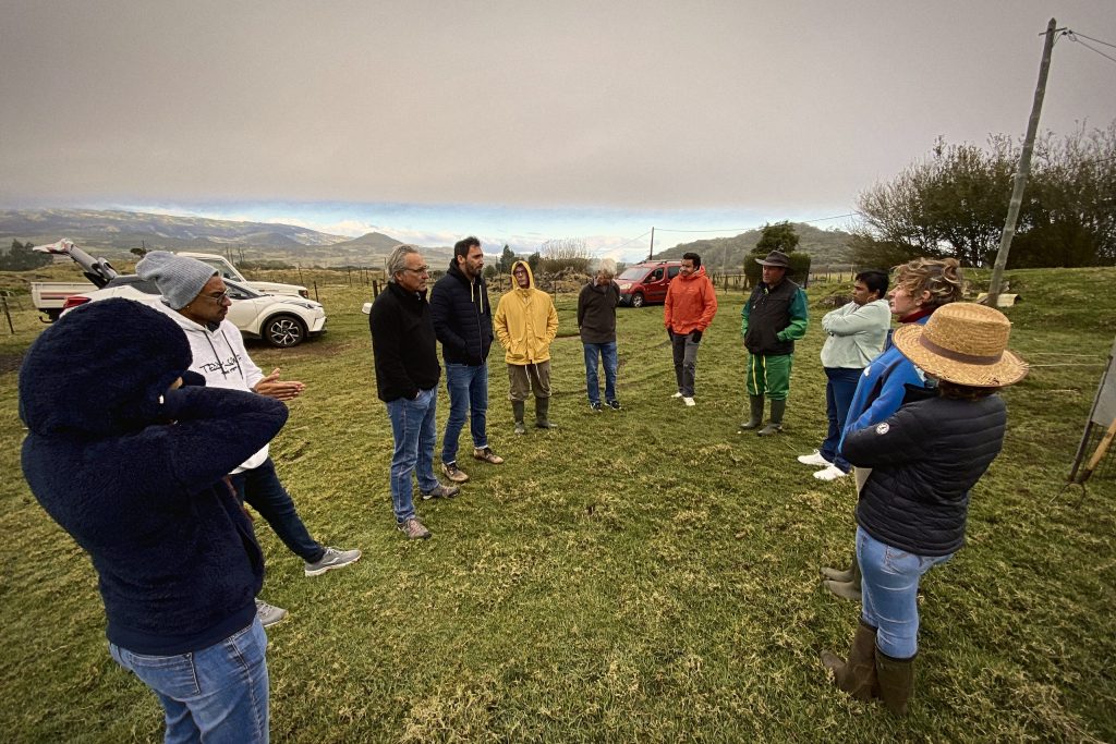 Tournage du spot Chambre d'Agriculture, La Plaine-des-Palmistes, juillet 2021